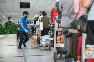 Ditjen Bea lalu Cukai Gagalkan Penyelundupan 7,4 Ton Narkoba Masuk ke Indonesia