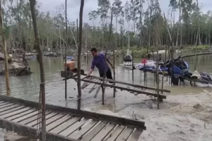 Pengamat Sebut Klaim Kerugian Negara Rp300 Billion pada Kasus Timah Tidak Didukung Bukti Kuat