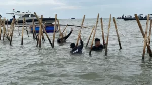 HGB Pagar Laut Hanyut, Siapa Tersangkut? di tempat The Prime Show