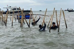 Bareskrim Duga SHGB dan juga SHM Pagar Laut Tangerang Pakai Girik Palsu