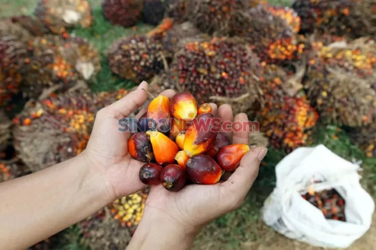 16 Invensi Hasil Investigasi GRS 2021-2023, Lebih dari Separo Siap Hilirisasi!