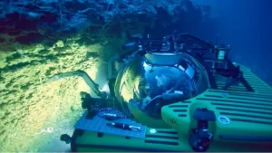 Ekosistem Makhluk-makhluk Misterius Ditemukan di dalam Dasar Laut