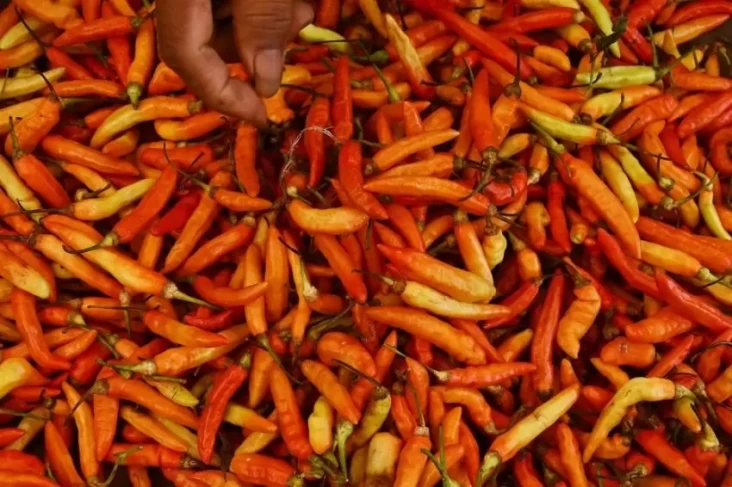 Ini adalah Strategi Bapanas Tekan Harga Cabai yang mana Tengah Meroket