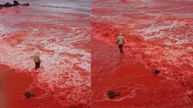 Pantai pada di Iran Tiba-tiba Berubah Warna Menjadi Merah Darah