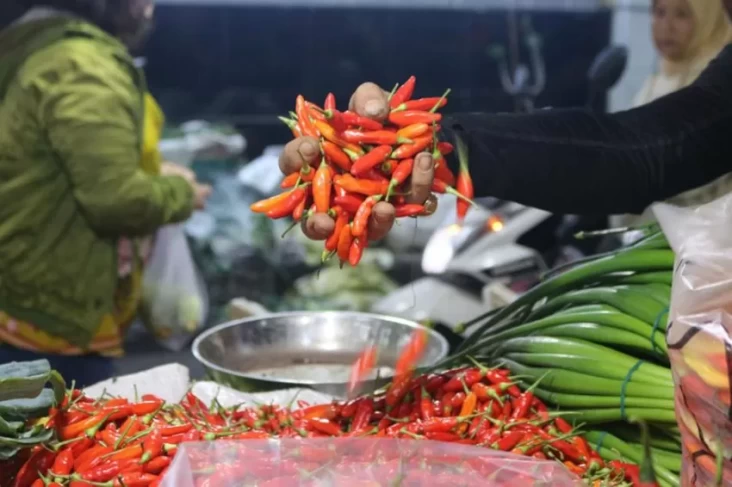 Update Harga Pangan Akhir Pekan 9 Maret 2025, Bawang, Cabai juga Beras Masih Naik