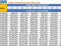 Skema Pendaftaran KUR BRI 2025: Pinjaman Rp85 Juta, Cicilan Bulanan Berapa?