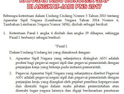 Revisi UU ASN Berlaku! PPPK Khusus Profesional, Honorer Siap-siap?