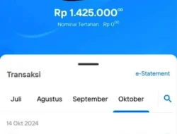 Tunjangan Insentif GBPNS Tahap 2 2025 Cair, Ini Solusinya
