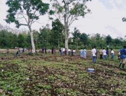 Ikuti Instruksi Bupati TTS, Pemdes Kolbano Batalkan SK Pemberhentian Sekdes