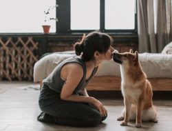 6 Tips Ilmiah untuk Kebahagiaan Anjing