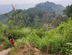 5 Tempat Trail Run Segar di Sentul Dekat Jakarta