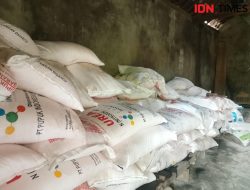 Harga Pupuk Bersubsidi Turun, Stok Aman Dipastikan oleh Pupuk Indonesia Grup