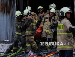 Dibawah Perhatian Pasca Kebakaran, Ini Beragam Pekerjaan Terra Drone di Kebun Sawit