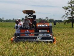 Instruksi Gubernur Bali: Larangan Alih Fungsi Lahan Pertanian untuk Jaga Keseimbangan Alam