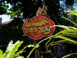 Perayaan Natal di Taman Safari Gembira Loka Yogyakarta
