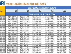 Tabel Angsuran KUR BNI 2025: Pengajuan Online, Cair Sampai Rp500 Juta