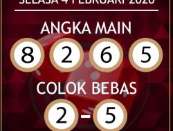 Prediksi Skor Sunderland vs Newcastle United 14 Desember 2025: Head to Head & Live Streaming