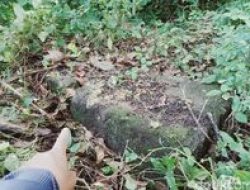 Situs Candi Bekelan Klaten Terlantar, Statusnya Masih Tidak Jelas