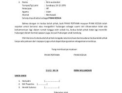 Suami Kalah di Pengadilan Setelah Minta Cerai karena Istri Tidak Ingin Donor Jantung: Bunuh Aku