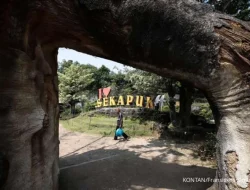 Daftar Wilayah Kaltim yang Akan Diguyur Hujan Besok