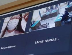 Dokter Medan Kehilangan Rp 2 Miliar Akibat Scammer Link APK Coretax