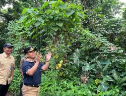 Tahura Pancoran Mas Depok Direspons: Danau, Jalur Jogging, dan Edukasi Siap Tiba Akhir 2027