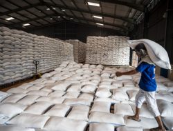 Kaleidoskop Pangan 2025: Stok Beras Melimpah, Harga Pupuk Turun 20 Persen