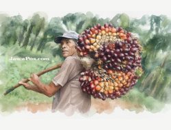 Strategis bagi perekonomian Indonesia, sawit perlu dikelola secara beradab dan berkelanjutan