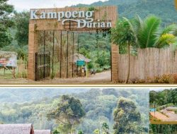 Penyebab Pajak Wisata Kampung Durian Bengkulu Tengah Naik Rp19 Juta Ternyata Bukan Kenaikan Tarif
