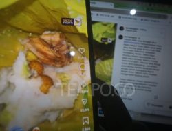 Masalah Kemasan MBG: Plastik yang Mengandung Babi