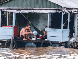 Dampak Deforestasi pada Siklus Air