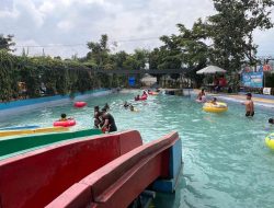 Kesederhanaan Padi di Park Mojokerto: Liburan, Rekreasi, dan Reuni yang Tak Terduga