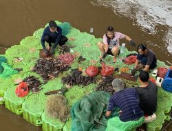 Dua dekade melawan arus Ciliwung, Pitri bertahan menangkap ikan sapu-sapu di air keruh