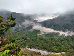Ke Puncak Upas Hill: Jalur Pendakian Romantis!