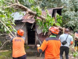 Hujan deras picu longsor di Tabanan, rumah dan sekolah tertimpa, ini pernyataan BPBD Bali