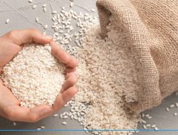 Dari Sawah Undaan, Pupuk Optimal Dongkrak Swasembada Beras