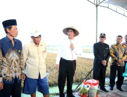 Kuota pupuk subsidi Bangka Selatan naik 10 persen, petani siap bergerak cepat