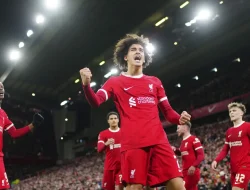 Slot akhirnya menghapus Gakpo dari daftar pemain Liverpool, memberi kesempatan kepada bintang muda
