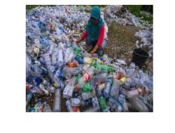 100 Contoh Sampah Organik dan Penjelasannya