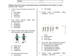 Serangan Pencak Silat Kaki yang Umum, Jawaban Soal PJOK Kelas 9 Semester 2