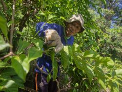 Pertumbuhan ekonomi Sumbar tertinggal jauh dari nasional, naik 3,37% pada 2025