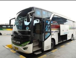 10 pilihan bus Jakarta-Surabaya full tol: Nyaman, harga murah, fasilitas lengkap