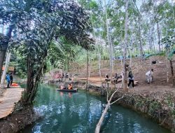 Di Balik Hutan Pedindang, Rahasia Bukit Senja dan Air Biru yang Menenangkan
