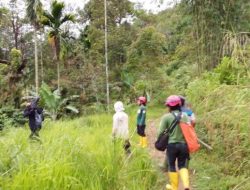 Dugaan penyebab beruang masuk permukiman Sinuruik Pasbar: mencari makan hingga tersesat di sawah