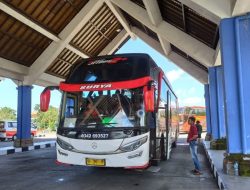 Jadwal dan Harga Tiket Bus AKAP Bali ke Jawa, Senin (9/2)!