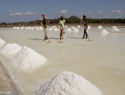 Pandangan Kontroversial PAD NTT 2026: Ambisi Fiskal atau Harapan Berlebihan?