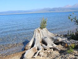 5 Fakta Menarik Danau Khovsgol, Danau Terdalam Mongolia