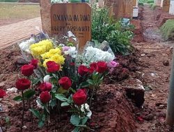 Makam Vidi Aldiano Tampak Rusak, Pihak TPU Laporkan ke Ibunda Almarhum: Saya Rapihin