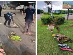 5 Fakta Mengerikan Kecelakaan di PIK, Polisi Ungkap Alkohol dan Nasib Sopir Fortuner