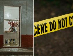 Nyawa Anjing di NTT Diselamatkan dari Piring Makan
